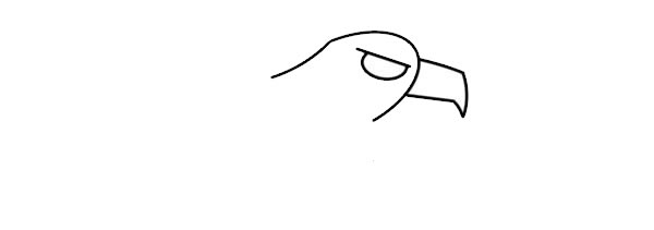 老鹰如何画简笔画霸气又简单,老鹰简笔画步骤图片