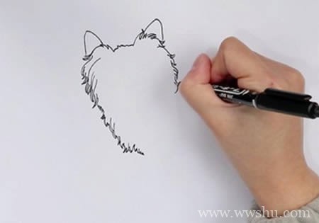 蝴蝶犬如何画 蝴蝶犬简笔画步骤图解教程