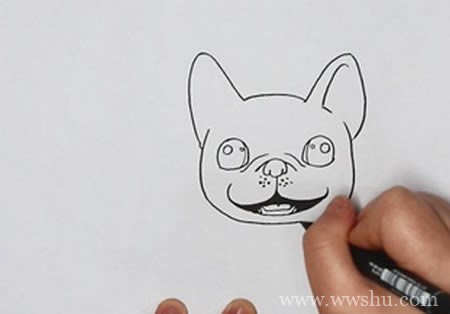 法国斗牛犬简笔画如何画可爱 彩色