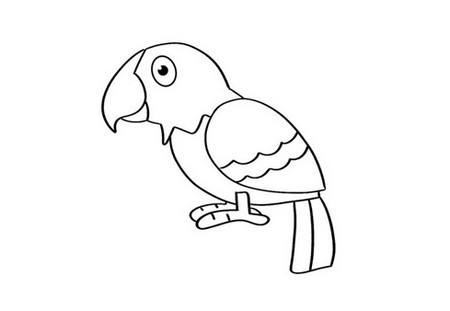 鹦鹉简笔画如何画简单又漂亮