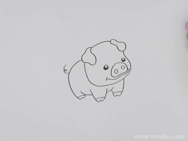 小猪如何画简笔画简单又可爱