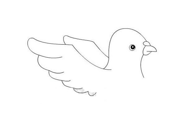 和平鸽如何画简笔画简单又漂亮-和平鸽简笔画