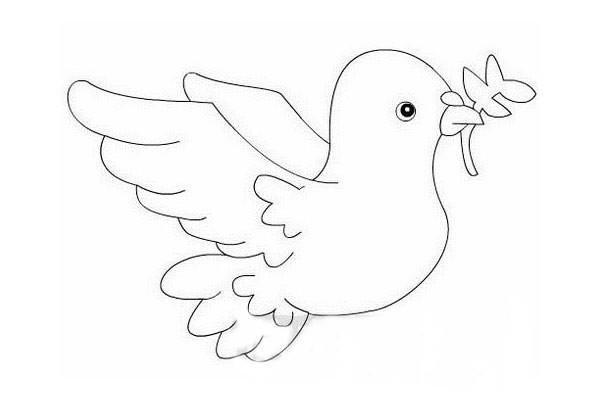 和平鸽如何画简笔画简单又漂亮-和平鸽简笔画