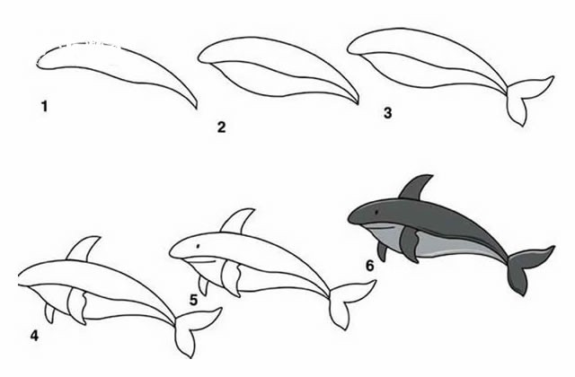 鲨鱼简笔画步骤图解教程