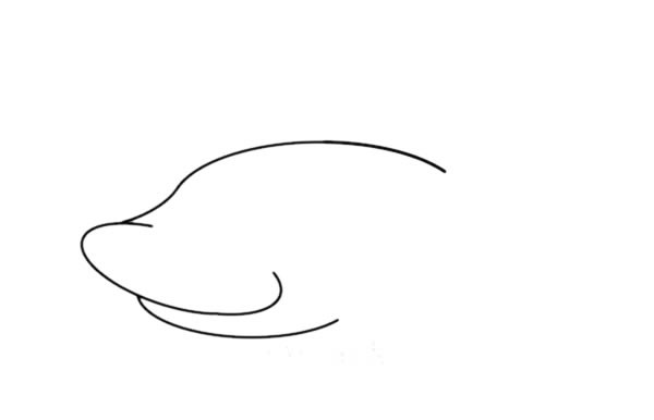 简笔画大鲨鱼的画法_凶残的大鲨鱼简笔画步骤图片教程