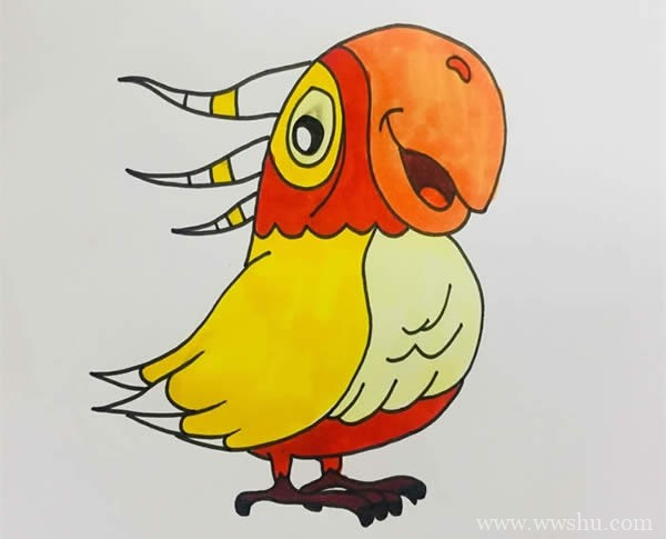 鹦鹉简笔画彩色画法步骤图片_漂亮的鹦鹉简笔画