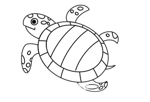 彩色卡通海龟简笔画画法步骤教程
