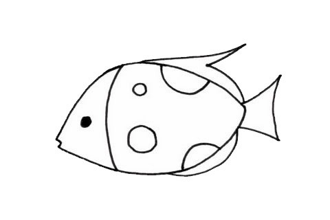 热带观赏鱼简笔画画法步骤图片大全