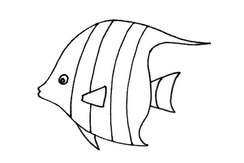 热带观赏鱼简笔画画法步骤图片大全