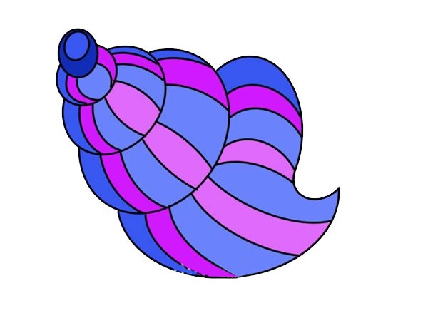 彩色海螺简笔画画法步骤图片