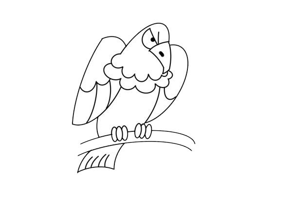 彩色老鹰简笔画的画法步骤图片