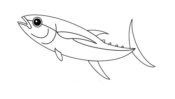 金枪鱼简笔画的画法步骤图解教程