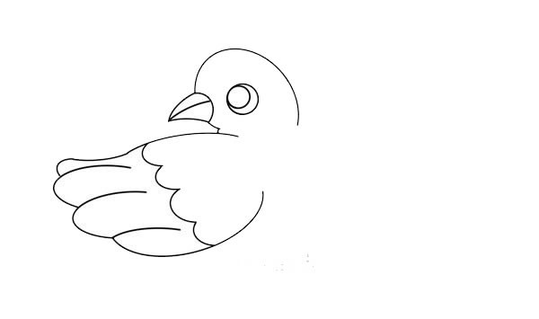 漂亮的鸽子简笔画画法步骤图片