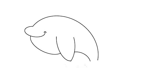 漂亮的海豚简笔画画法步骤图片教程