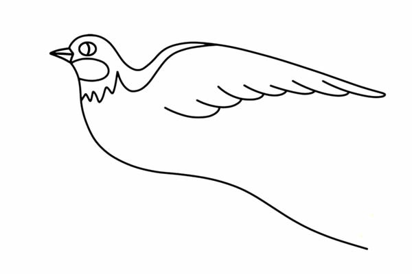 漂亮的小燕子简笔画画法步骤图片教程