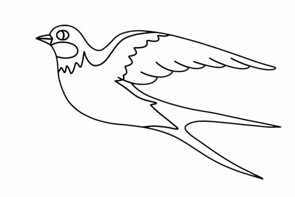漂亮的小燕子简笔画画法步骤图片教程