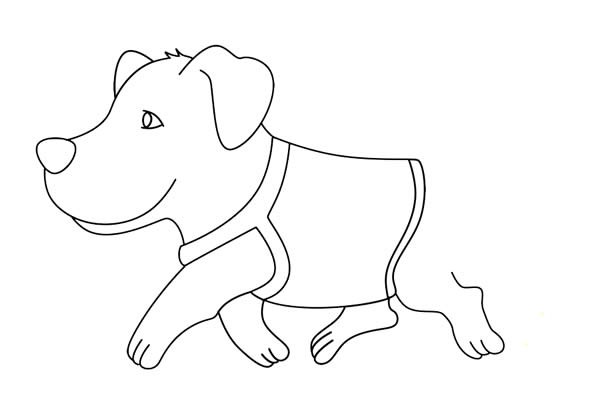 导盲犬简笔画如何画简单又漂亮