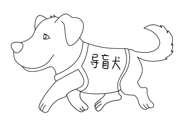 导盲犬简笔画如何画简单又漂亮