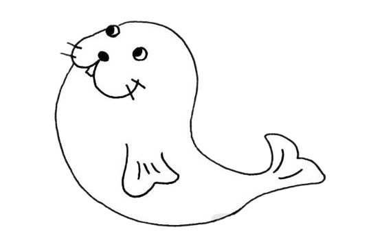 简单的海豹简笔画画法步骤图片大全