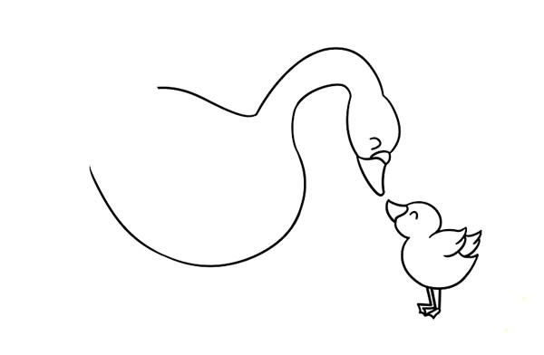 鹅妈妈和小鹅宝宝的简笔画 大白鹅简笔画图片