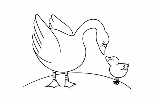 鹅妈妈和小鹅宝宝的简笔画 大白鹅简笔画图片