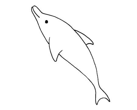 卡通海豚简笔画步骤图片教程,如何画海豚简单画法