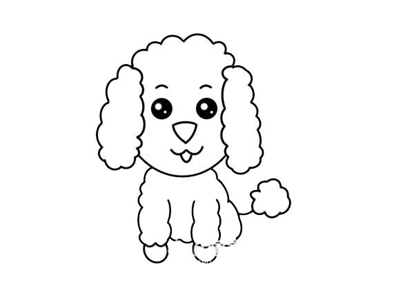 可爱泰迪犬简笔画画法步骤图片