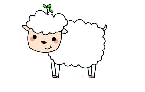 可爱绵羊简笔画的画法步骤图片教程