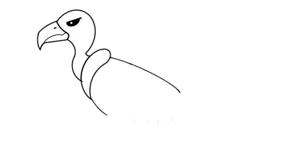 秃鹫简笔画的画法步骤图解教程