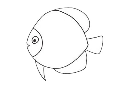 热带鱼简笔画的简单画法步骤图片大全