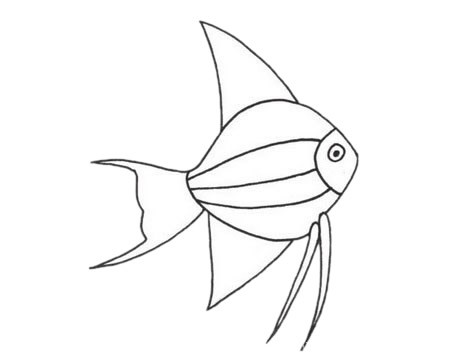 热带鱼简笔画的简单画法步骤图片大全