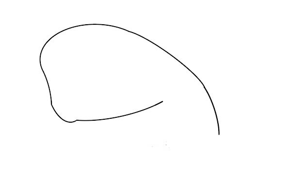 可爱卡通抹香鲸简笔画步骤图解教程_抹香鲸的画法