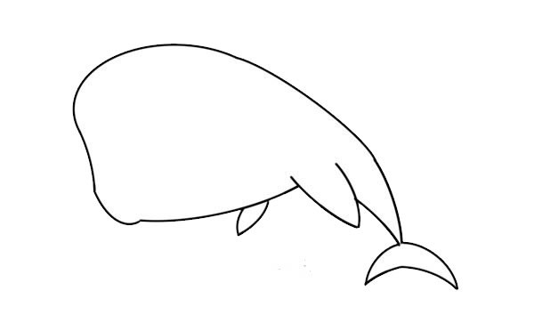 可爱卡通抹香鲸简笔画步骤图解教程_抹香鲸的画法