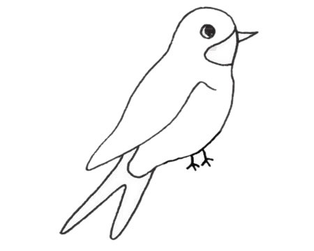小燕子最简单的画法 超简单小燕子简笔画画法步骤教程