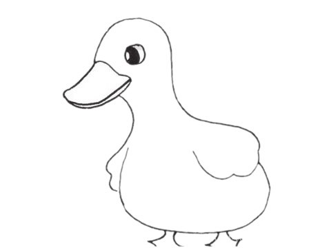 小鸭子如何画简单漂亮 小鸭子简笔画步骤图解教程
