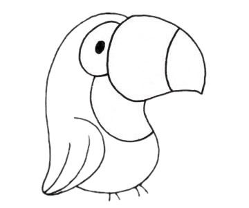 鹦鹉简单画法 卡通鹦鹉简笔画步骤图解教程