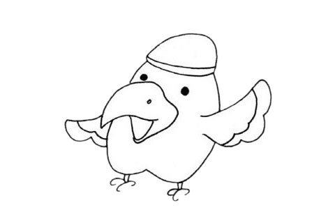 鹦鹉简单画法 卡通鹦鹉简笔画步骤图解教程