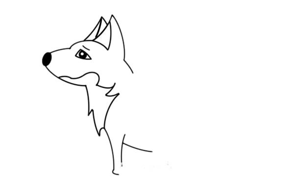 狼的最简单画法 简笔画狼的画法步骤图解教程