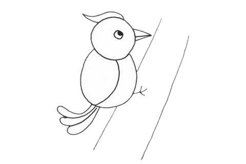 树干啄木鸟简笔画图片 卡通啄木鸟简笔画步骤教程