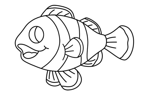 可爱的小丑鱼如何画 彩色小丑鱼简笔画步骤图解教程
