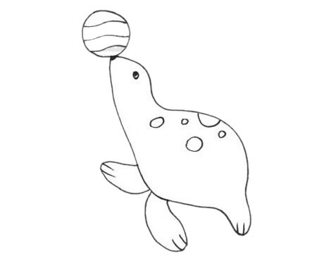 海狮如何画最简单 海狮简笔画画法步骤图片大全