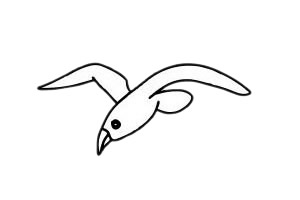 海鸥简笔画简单画法 海鸥简笔画步骤图解教程