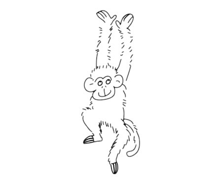 猴子简笔画简单画法 猴子简笔画步骤图解教程