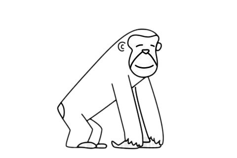 画猩猩最简单的画法 卡通猩猩简笔画步骤图片大全