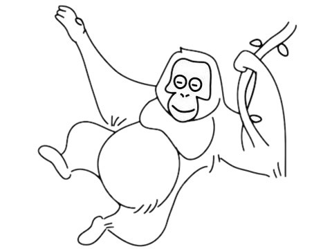 画猩猩最简单的画法 卡通猩猩简笔画步骤图片大全