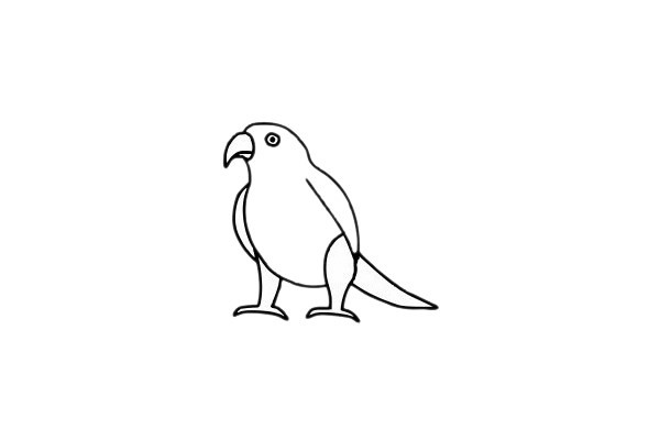 最漂亮的鹦鹉如何画 鹦鹉简笔画步骤图片大全