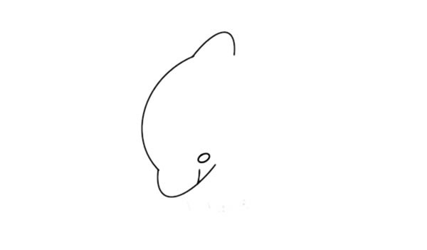 海豚如何画又简单又漂亮又可爱 海豚简笔画步骤图解教程