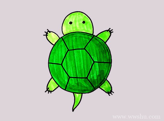 小乌龟如何画简单又可爱 乌龟简笔画