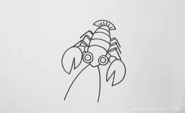 龙虾如何画简笔画图片_龙虾简笔画