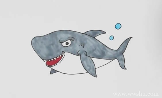 彩色鲨鱼简笔画 鲨鱼如何画才可怕又凶猛又漂亮